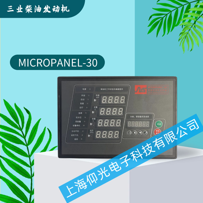 I(y)Ͱl(f)әCSMICROPANEL-30O